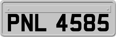 PNL4585