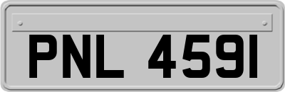 PNL4591