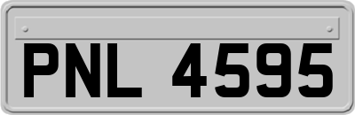 PNL4595