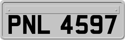 PNL4597