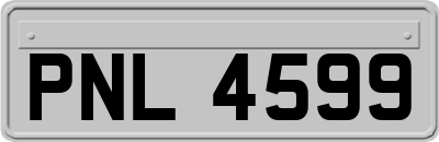 PNL4599