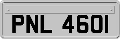 PNL4601