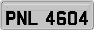 PNL4604