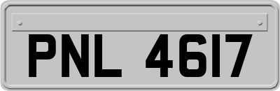 PNL4617