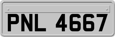 PNL4667
