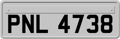 PNL4738