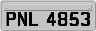 PNL4853