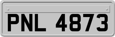 PNL4873