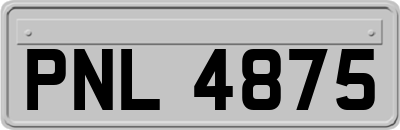 PNL4875