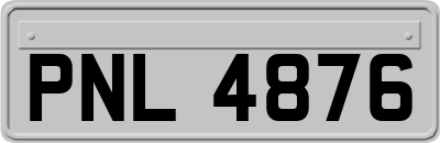 PNL4876