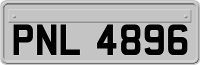 PNL4896