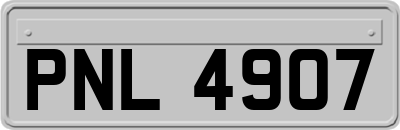 PNL4907