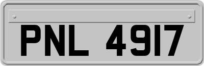 PNL4917