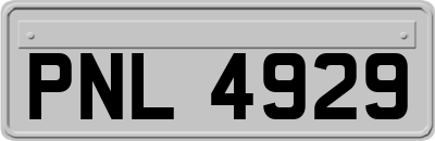 PNL4929