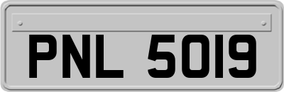 PNL5019