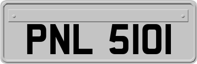 PNL5101