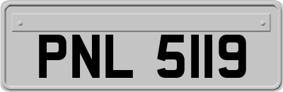 PNL5119