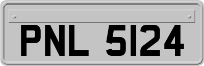 PNL5124