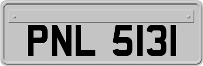 PNL5131