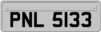 PNL5133