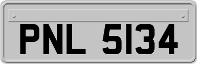 PNL5134