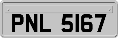 PNL5167