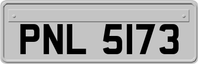 PNL5173