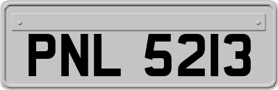 PNL5213