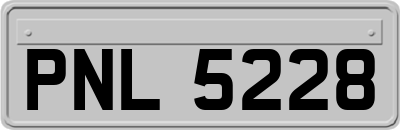 PNL5228