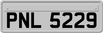 PNL5229