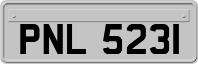 PNL5231