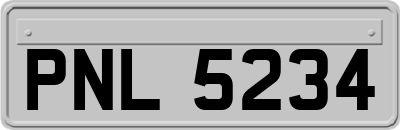 PNL5234