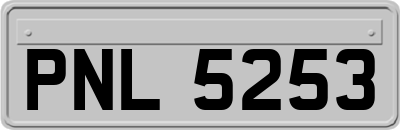 PNL5253