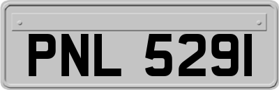 PNL5291