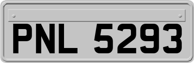 PNL5293