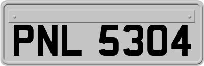 PNL5304