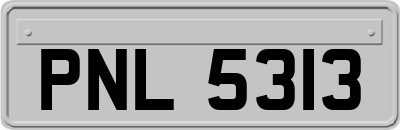 PNL5313