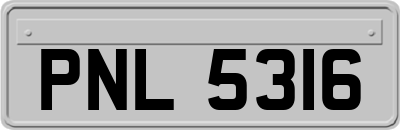 PNL5316