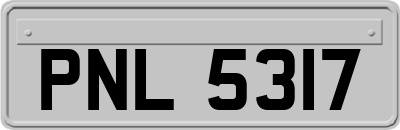 PNL5317