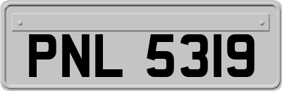 PNL5319