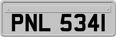 PNL5341