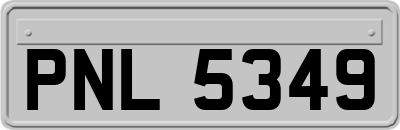 PNL5349