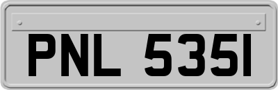 PNL5351