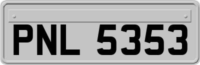 PNL5353