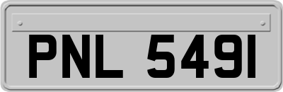 PNL5491