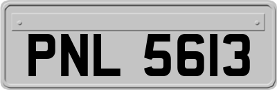 PNL5613