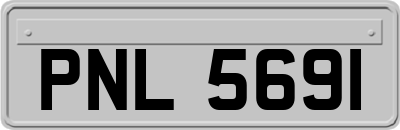 PNL5691
