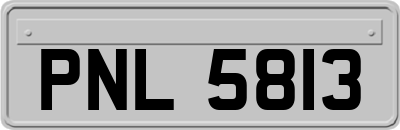 PNL5813