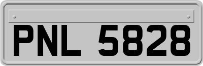 PNL5828