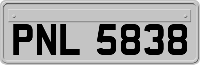 PNL5838